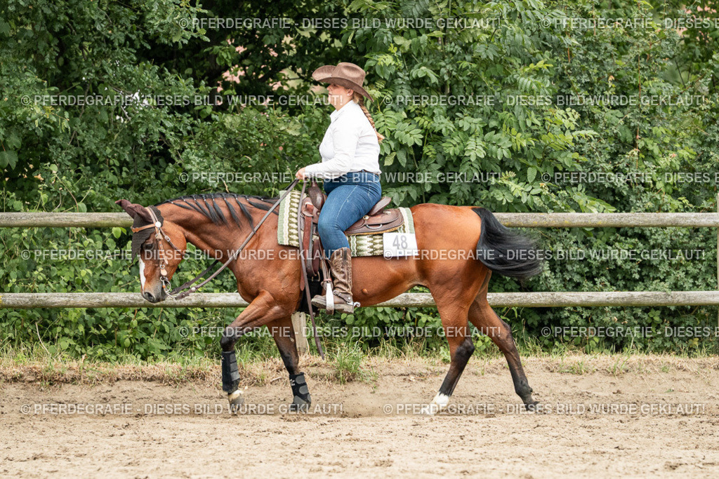 DSC04117 | Pferdegrafie