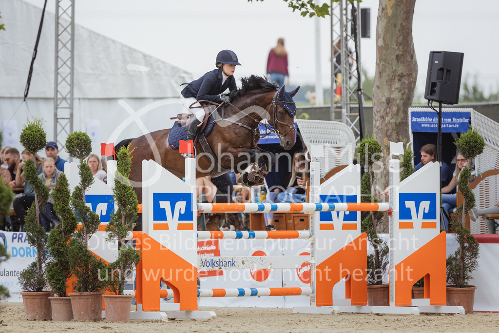 220729_BHO_GT_M2-Spr_1-242 | Deine schönsten Turniermomente als professionelle Fotos! Entdecke hochwertige Pferdesport-Fotografie im Online-Shop. Jetzt Fotos finden & bestellen!