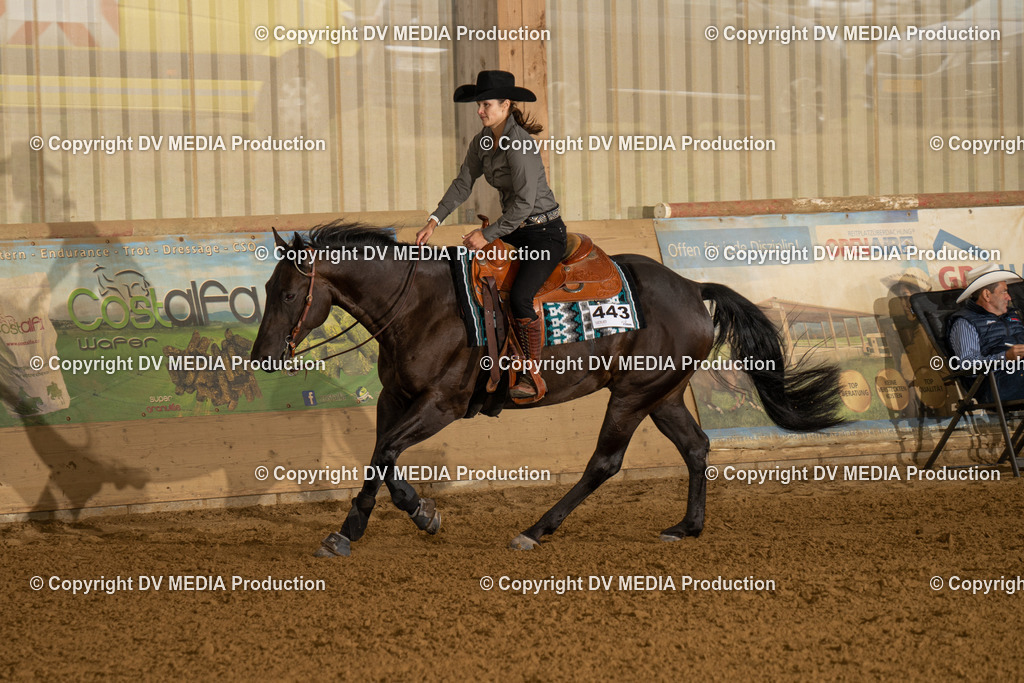 LAU00753 | dv-media-shop - Realisiert mit Pictrs.com