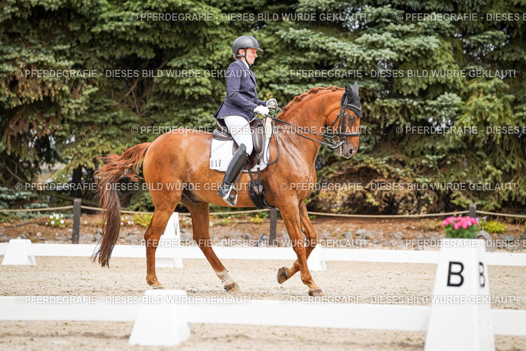 DSC04960 | Pferdegrafie