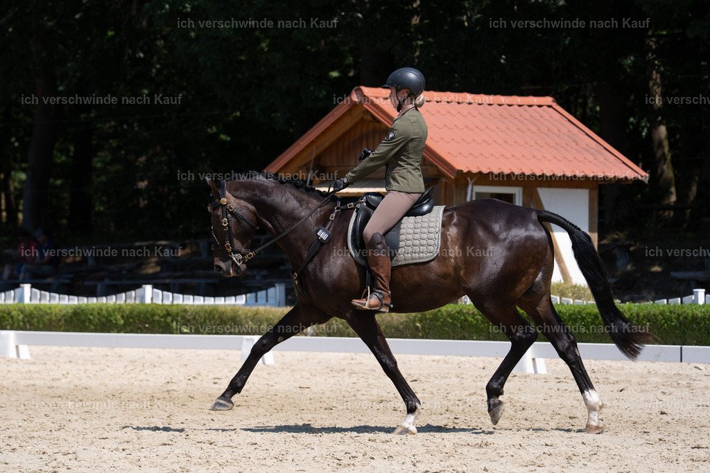WS_DR_19_sinafilmart_IN03117 | working equitationturnier fotograf videograf stoibphotography marixx film working equitation deutschland reitsport turnierfotografie eventfotografie equestrian events