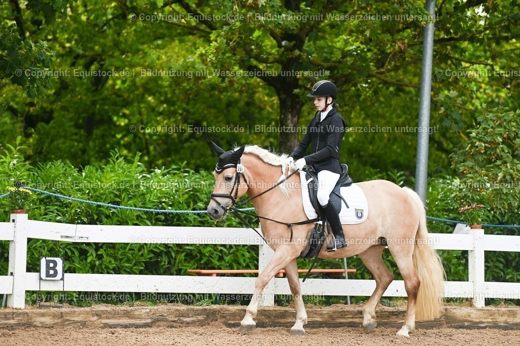 20230716_10-1_Reiter-WB Schritt - Trab - Galopp_0012 | equistock