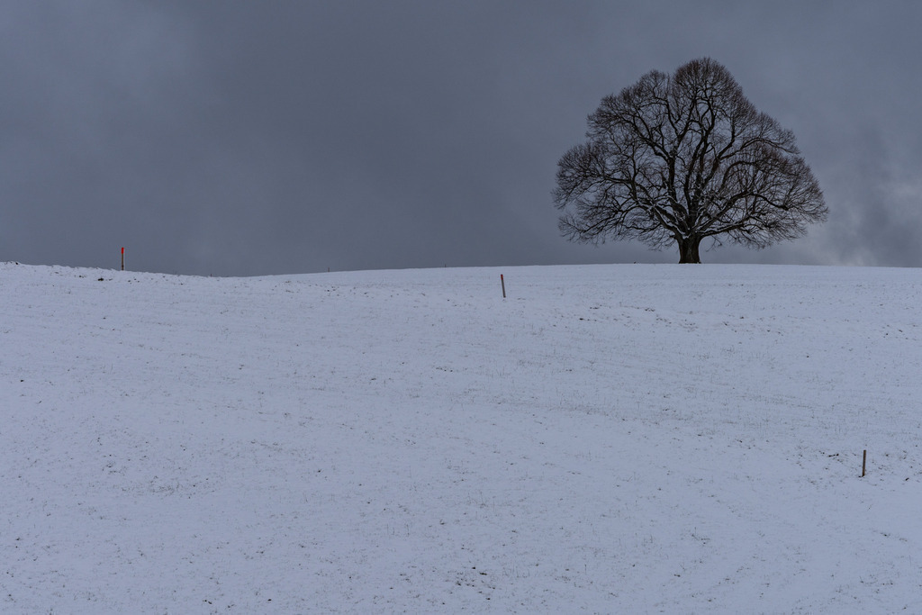 2021_11_28 BRM04559 | bridgeman - Realisiert mit Pictrs.com