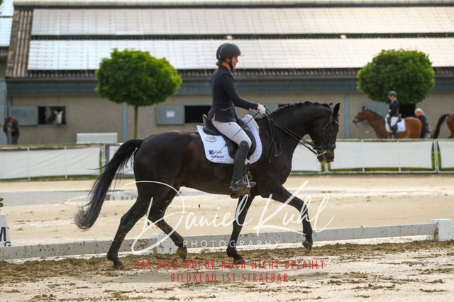 DKP40160 | Turniersportfotografie; Pferdefotografie; Dressurfotografie