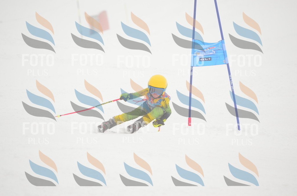 C1654 | holidayphoto