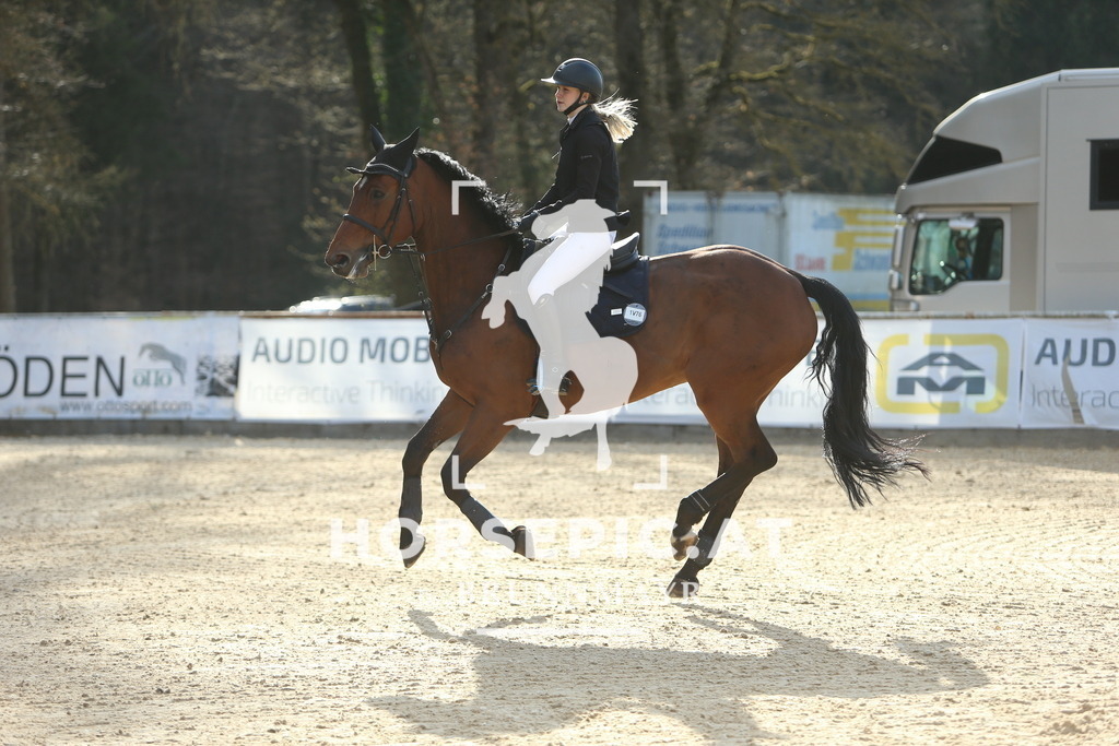 DL2Q0479 | Willkommen bei Brunnmayr - Design & Fotografie – Ihrem Spezialisten für Reitturniere und Pferdeveranstaltungen in Oberösterreich, Salzburg und Bayern! Seit über 17 Jahren sind wir leidenschaftlich dabei.