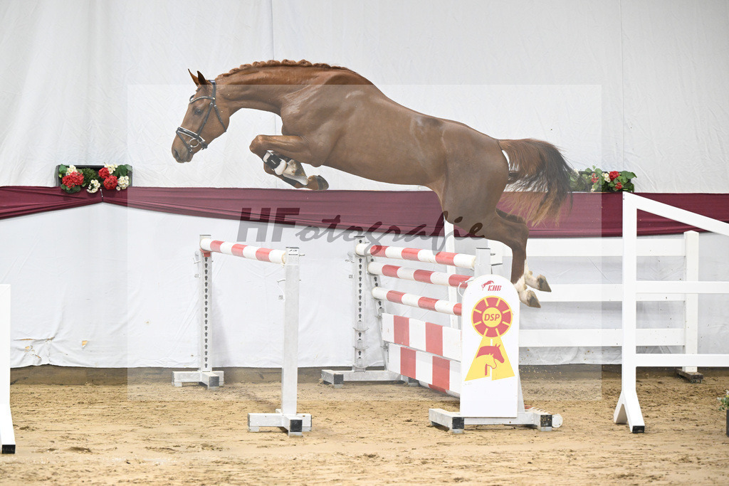 Kat-Nr. 82 Orient Express ES x Dibadu L_Markus Denzel_47252620 | hf-fotografie - Realisiert mit Pictrs.com