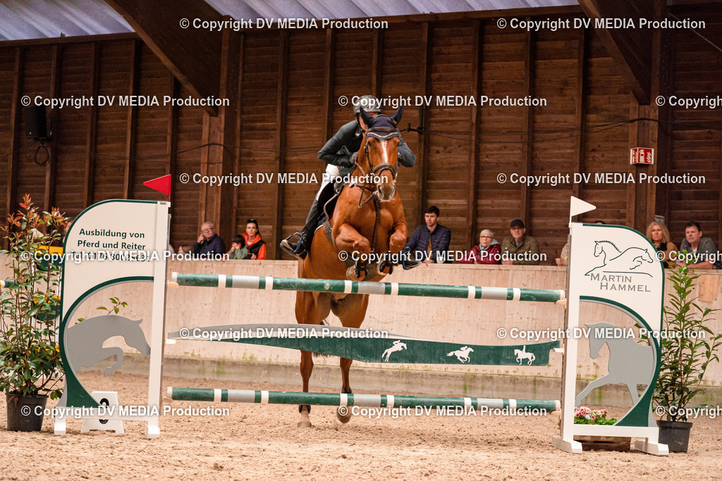 Springen Tag 3-317 | dv-media-shop - Realisiert mit Pictrs.com