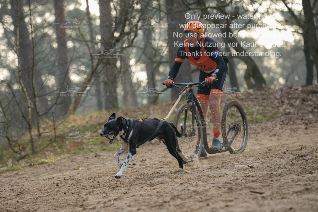 Scooter1-156 | stephaniefillaphotographie - Realisiert mit Pictrs.com