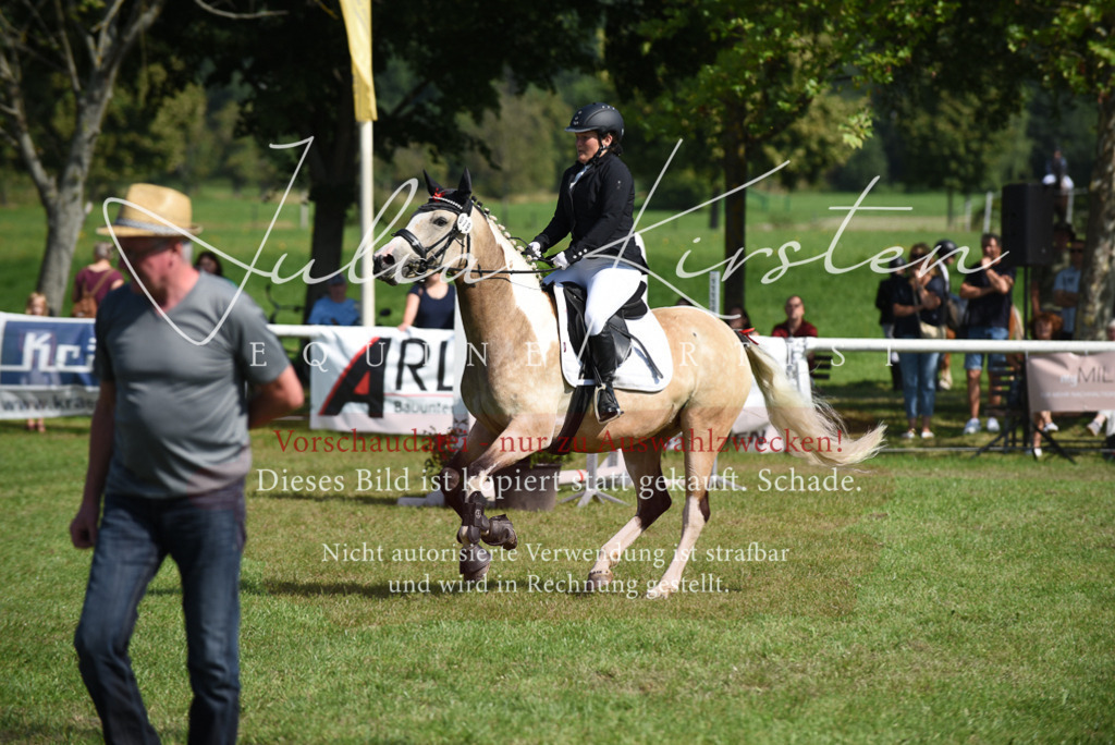DSC_9089 | Pferde- und Turnierfotografie in Westsachsen. Pferdeportraits, Auftragszeichnungen und intuitive Kunst.