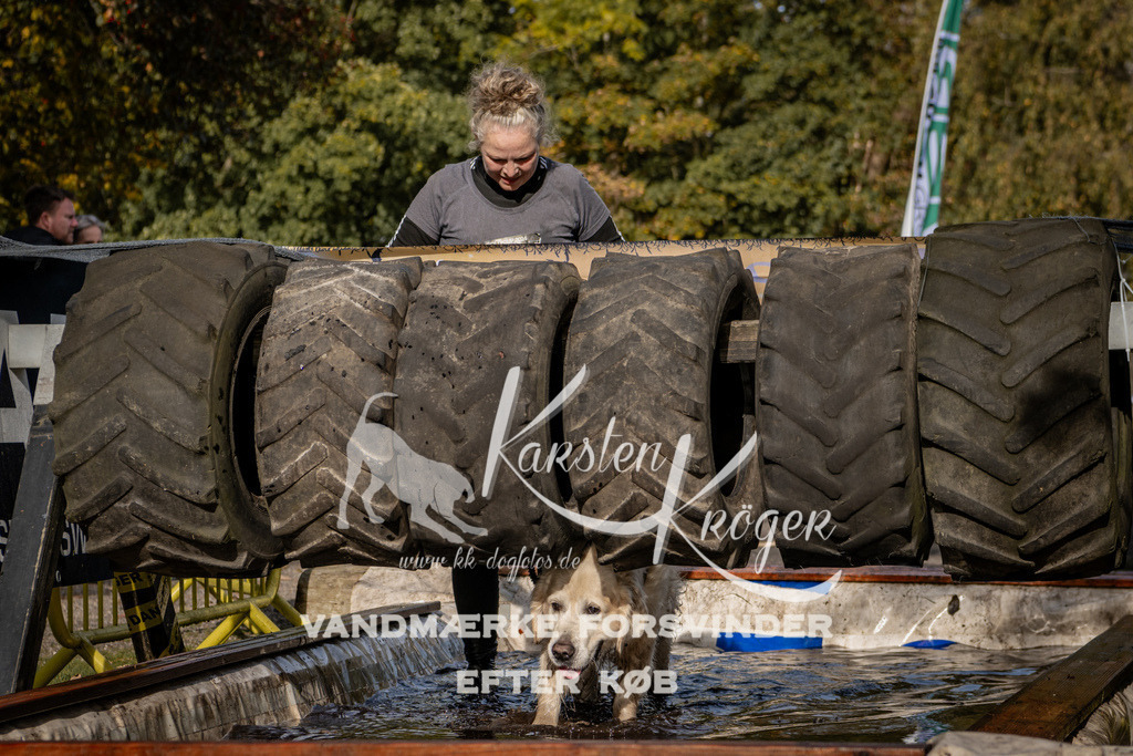 1332_ZZ92769 | kk-dogfotos