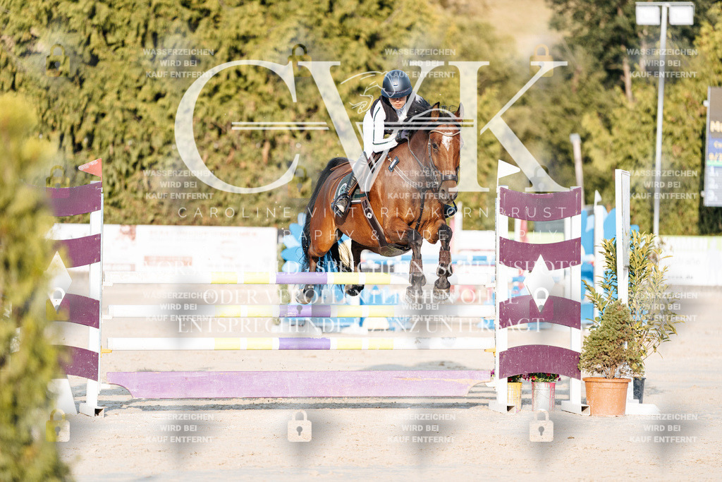 CK900774 | Turnierfotografie Pferdefotografie Trier Rheinland-Pfalz Pferdesport Reitsport Tierfotografie Sportfotografie Pferdevideo Pferdevideografie Equestrianvideography equestrianphotography  - Realisiert mit Pictrs.com