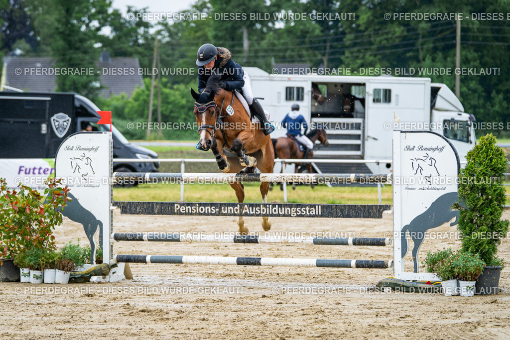 DSC03596 | Pferdegrafie