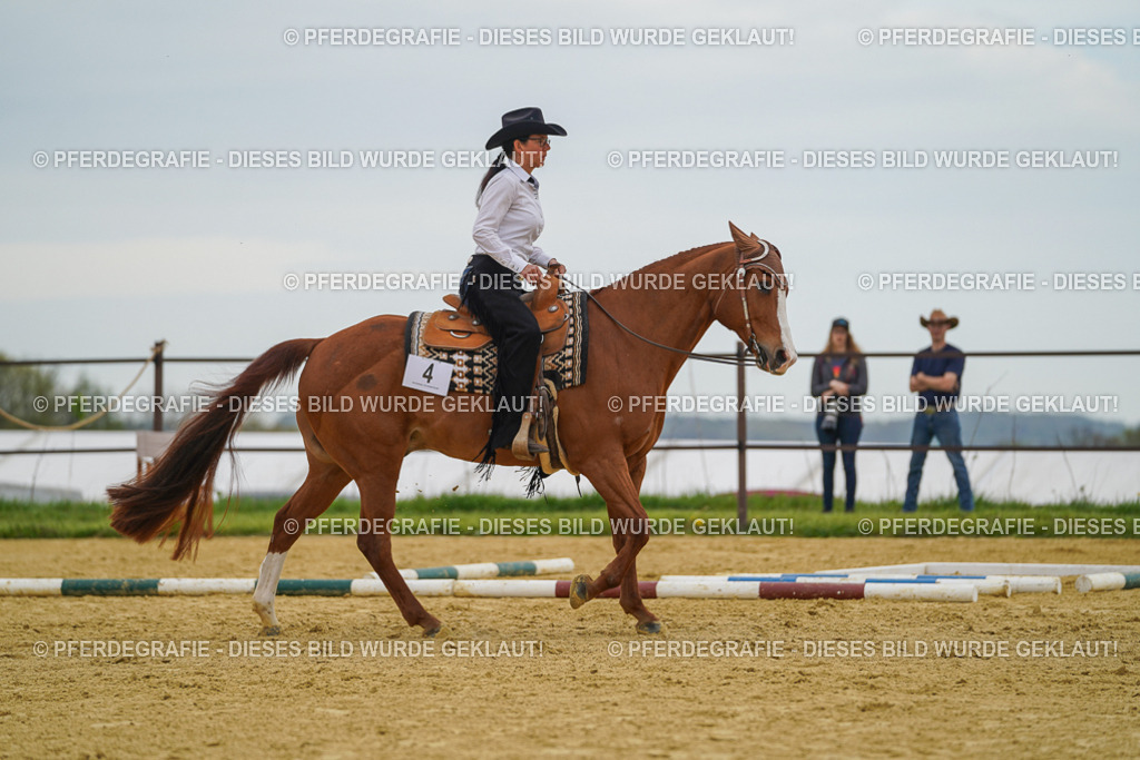 DSC02549 | Pferdegrafie