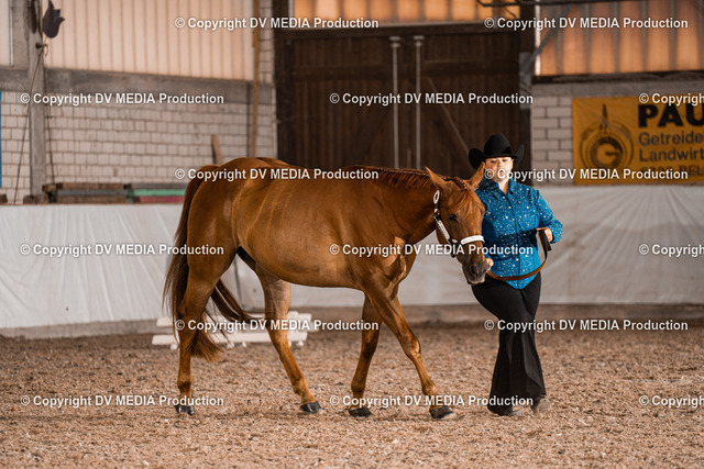 ZH200140 | dv-media-shop - Realized with Pictrs.com