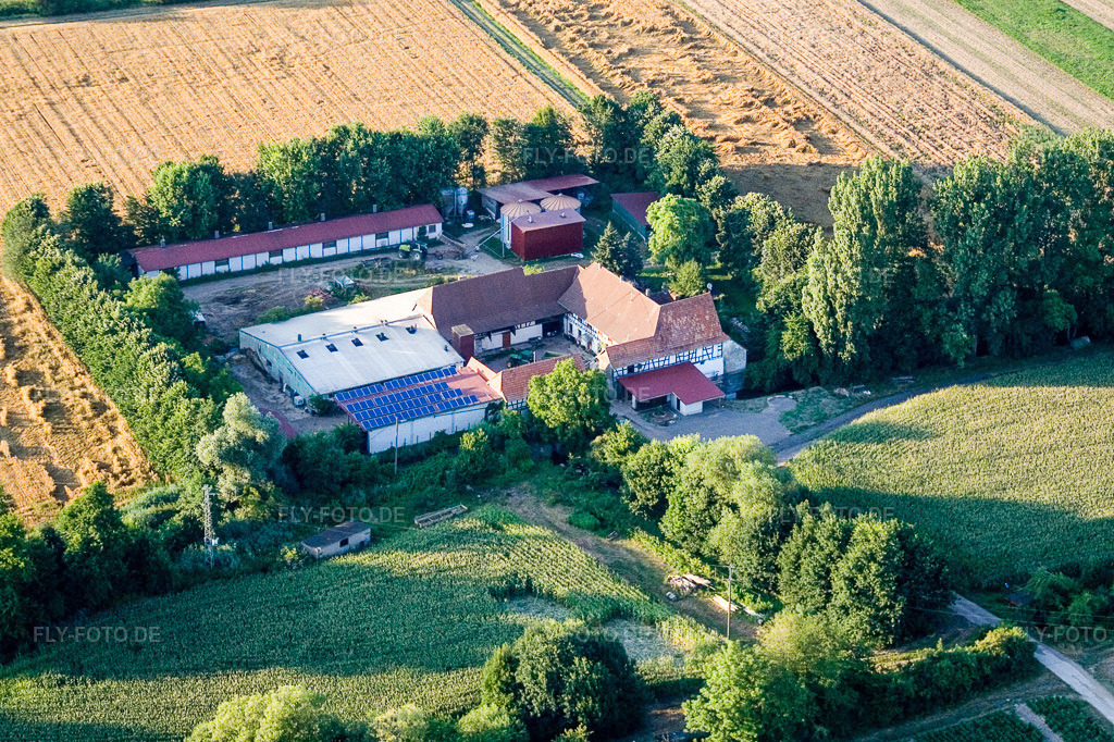 Luftbild: am Erlenbach, Leistenmühle in Kandel im Bundesland Rheinland-Pfalz in Deutschland. Foto: IMG_11805.jpg vom 25.07.2008 durch Werner Riehm/FLY-FOTO.de