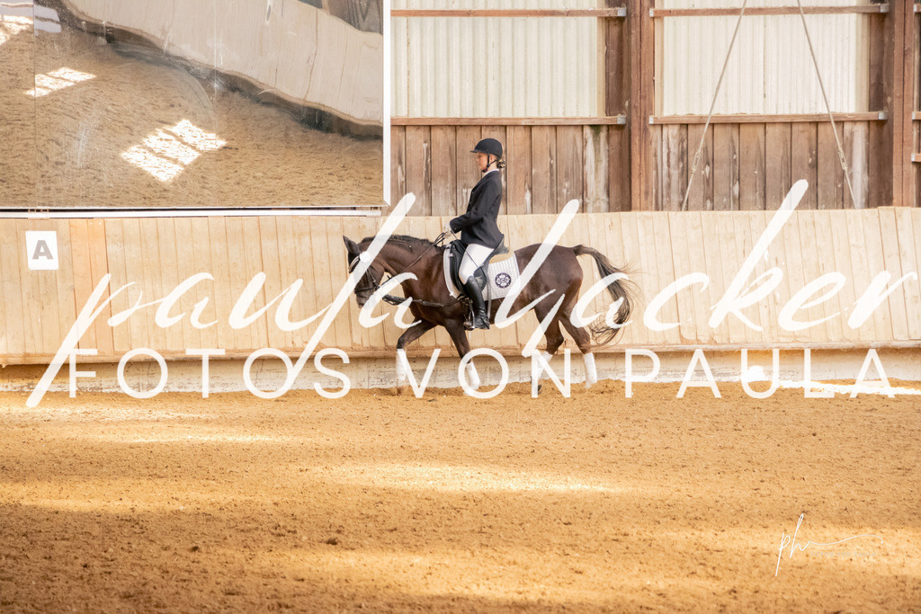 IMG_3443 | Erleben Sie dynamische Sport- und emotionale Tierfotografie in Süddeutschland mit Fotos von Paula. Spezialisiert auf Pferde- und Hundefotografie sowie Sportevents. Kontaktieren Sie mich für einzigartige und ausdrucksstarke Bilder Ihrer besonderen Momente. - Realisiert mit Pictrs.com