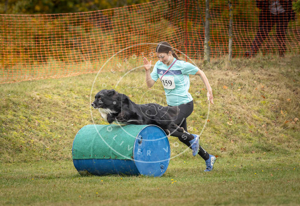 Pfotenfotografie_DV3A5354 | Hundefotografie, Tierfotograf, Pfotenfotografie, Fotoshooting Hund, Hunde Portrait, Hundesport, Hundeportraits, Heideshooting, Hunde, Sportfotograf, Hundefotograf, Turnierhundsport, THS,  - Realisiert mit Pictrs.com