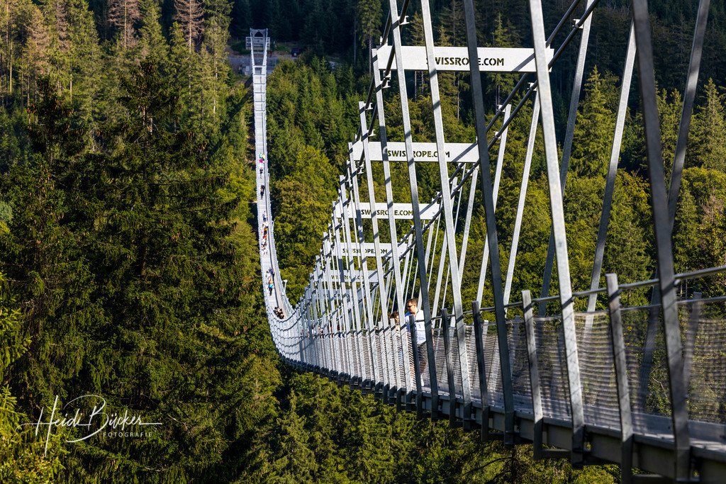 Skywalk Willingen | Der Skywalk Willingen ist die längste Hängebrücke Deutschlands und die zweitlängste der Welt. - Realisiert mit Pictrs.com