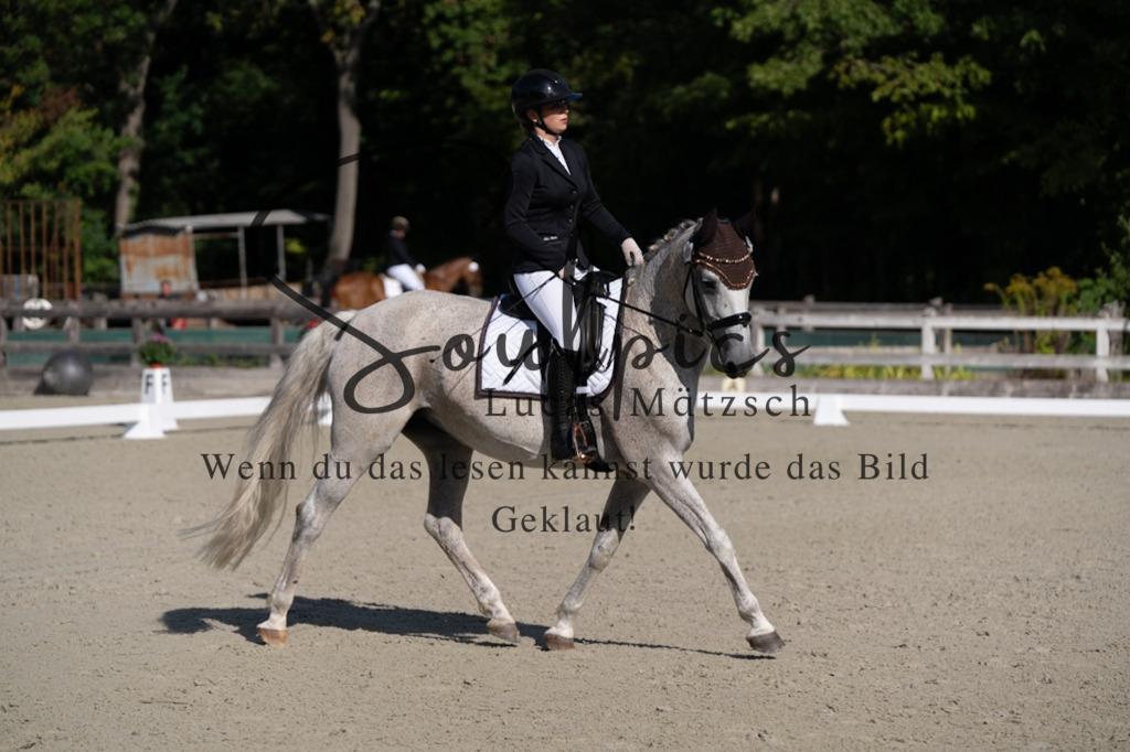 A7V06879 | Turnier/Reitfotograf