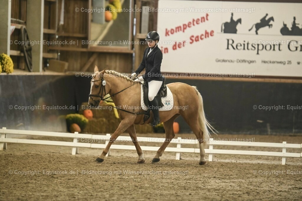 20231029_02_Reiter-WB_Schritt-Trab-Galopp_Abteilung-01_0004 | Foto: Thomas Hartig
