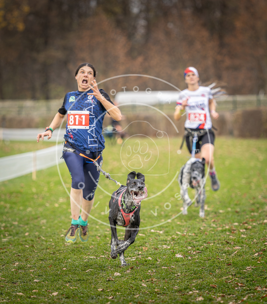 CaniXpix_DV3A6315 | Hundefotografie, Tierfotograf, Pfotenfotografie, Fotoshooting Hund, Hunde Portrait, Hundesport, Hundeportraits, Heideshooting, Hunde, Sportfotograf, Hundefotograf, Turnierhundsport, THS,  - Realisiert mit Pictrs.com