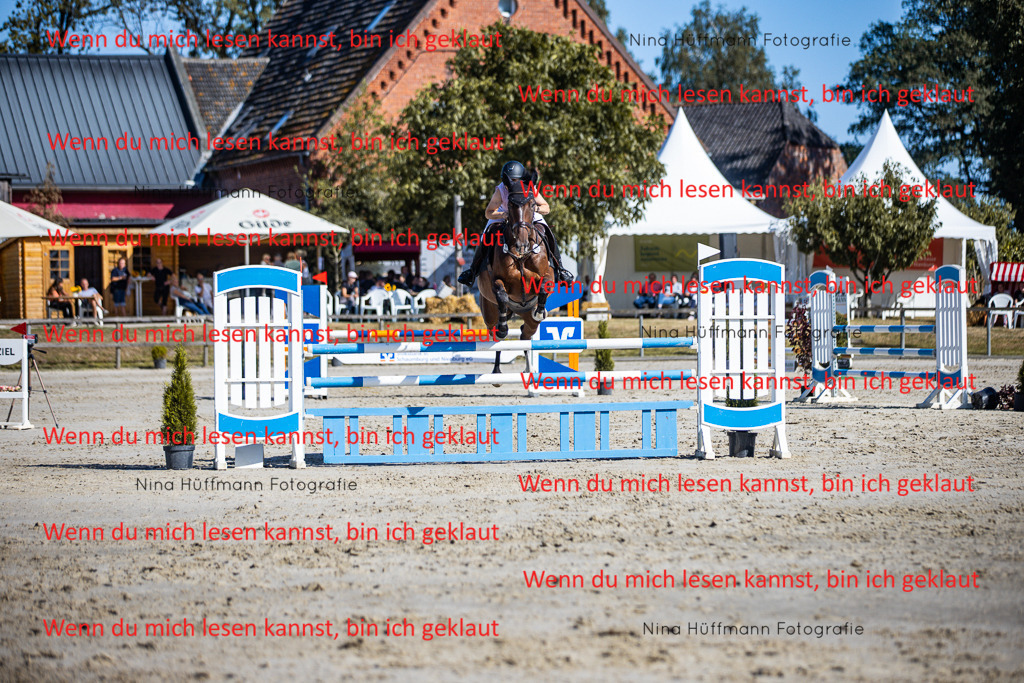 BK1A5769 | Turnierbilder Turnierfotos Nina Hüffmann Turnierfotografie Pferdefotografie Tierzeichnung Haustierzeichnung Pferdezeichnung Hundezeichnung Videograf  - Realisiert mit Pictrs.com