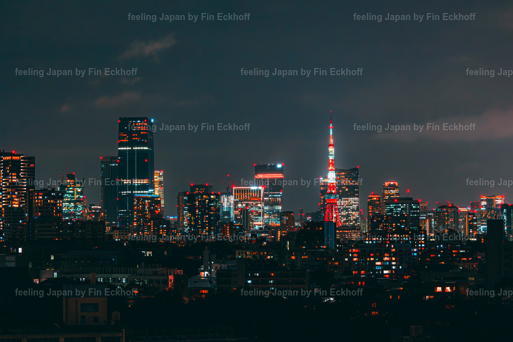03 - Tokio - Tower-3 | FI-LO Bildershop – Entdecken Sie beeindruckende Fotografie und inspirierende Videoproduktionen. Tauchen Sie ein in faszinierende Welten und lassen Sie sich von meinen einzigartigen Werken auf eine emotionale Reise mitnehmen. Perfekt für Kunstliebhaber und - Realisiert mit Pictrs.com