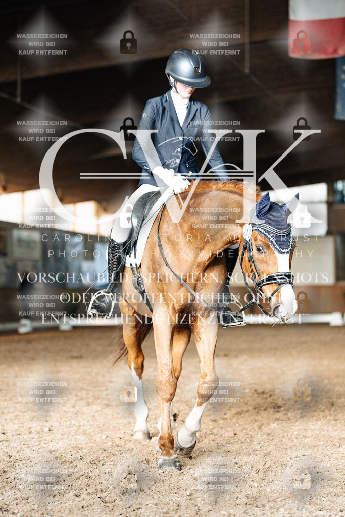 CK903310 | Turnierfotografie Pferdefotografie Trier Rheinland-Pfalz Pferdesport Reitsport Tierfotografie Sportfotografie Pferdevideo Pferdevideografie Equestrianvideography equestrianphotography  - Realisiert mit Pictrs.com