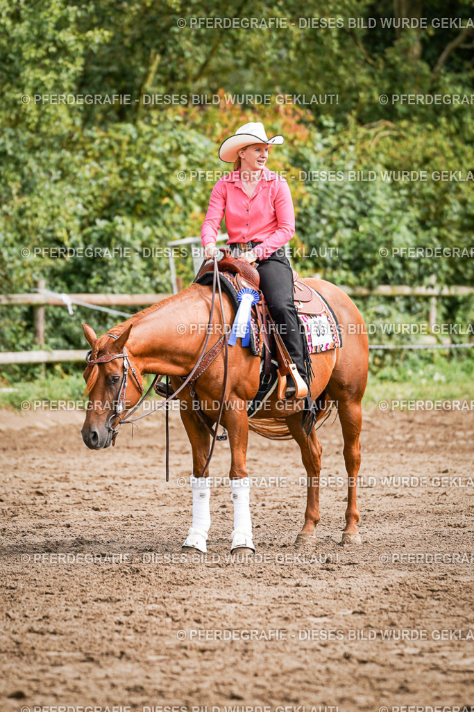 DSC08450 | Pferdegrafie