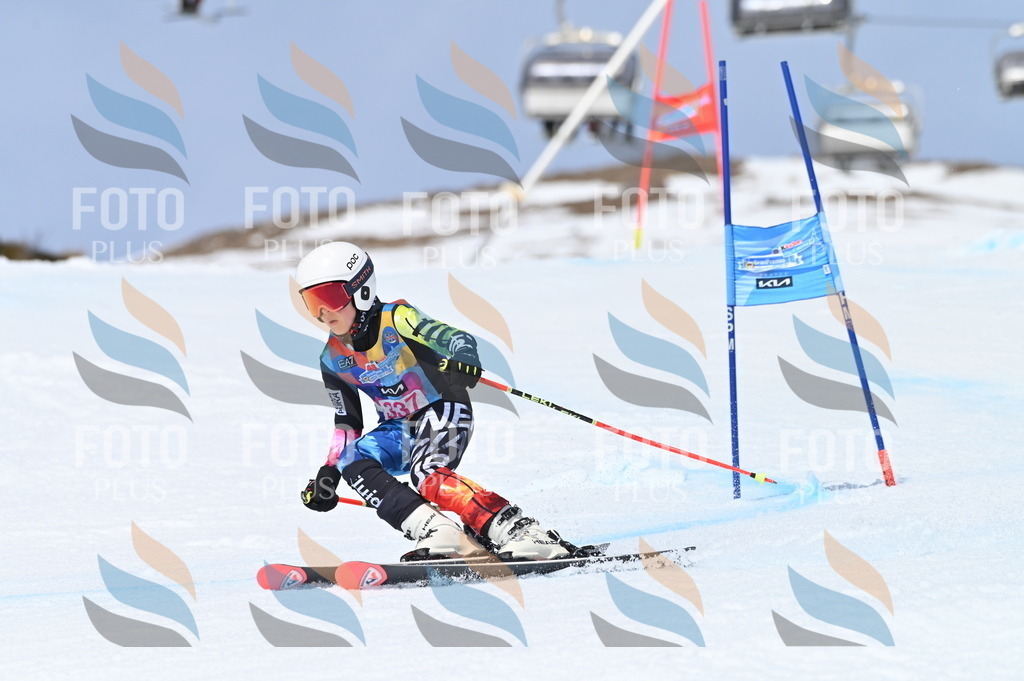 BGV_3403 | holidayphoto