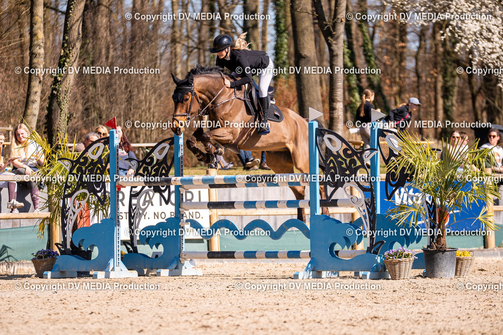 Kranichstein Tag 2-751 | dv-media-shop - Realisiert mit Pictrs.com