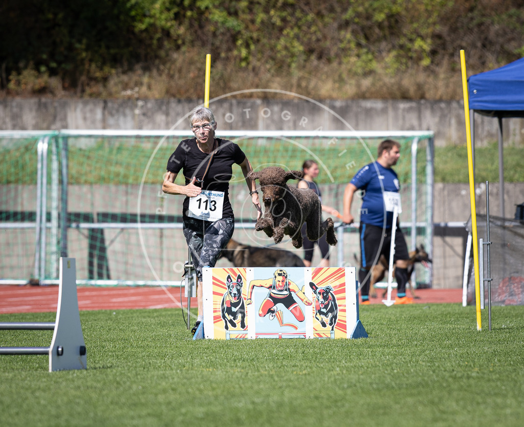 Pfotenfotografie_DV3A8306 | Hundefotografie, Tierfotograf, Pfotenfotografie, Fotoshooting Hund, Hunde Portrait, Hundesport, Hundeportraits, Heideshooting, Hunde, Sportfotograf, Hundefotograf, Turnierhundsport, THS,  - Realisiert mit Pictrs.com