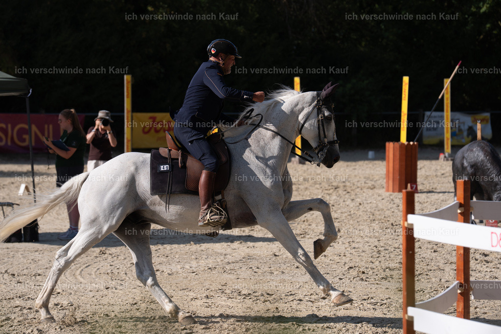 WS_SP_49_SinaFilmArt_IN09255 | working equitationturnier fotograf videograf stoibphotography marixx film working equitation deutschland reitsport turnierfotografie eventfotografie equestrian events
