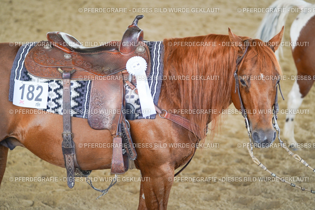 DSC09029 | Pferdegrafie