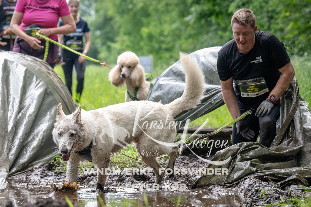 1106_ZZ91409 | kk-dogfotos