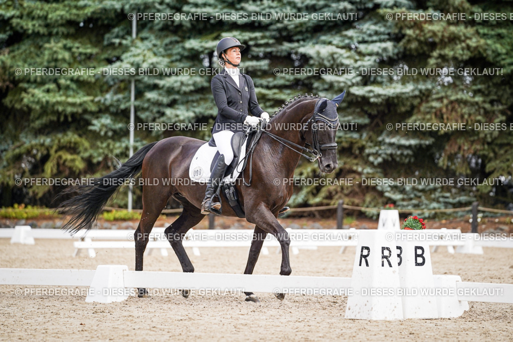 DSC03578 | Pferdegrafie