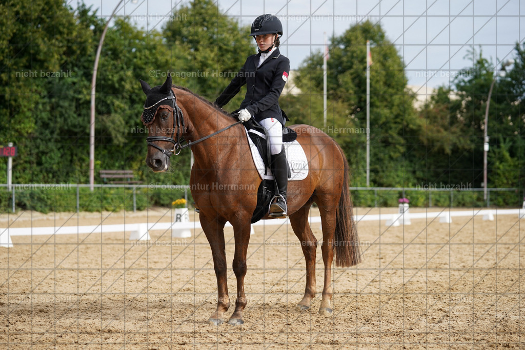 20240825-FAH00313 | Turnierbilder, Reitsportfotos, LAPO, Landesponyturnier, Turnierfotografen Bayern