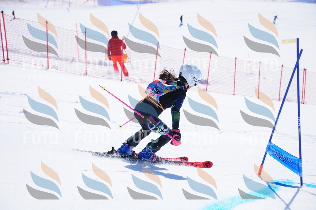 DSC_3949 | holidayphoto