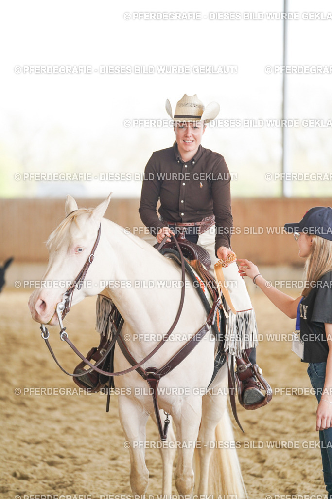 DSC02247 | Pferdegrafie