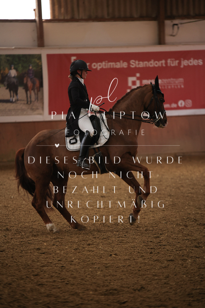 IMGT4776 | pl-fotografie