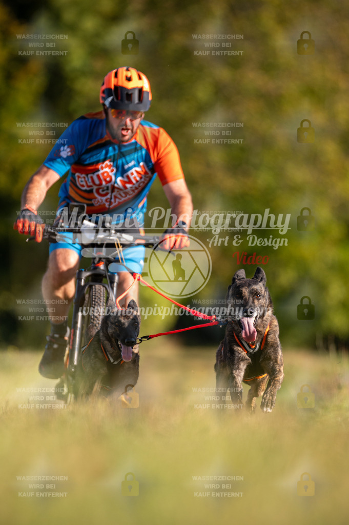 CDLBDB_15_10_2023_Dimanche-315 | PayLife