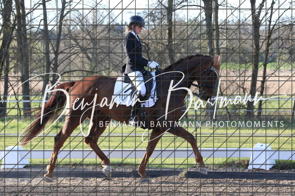 AZ2A5590 | Benjamin Bartmann Photomoments