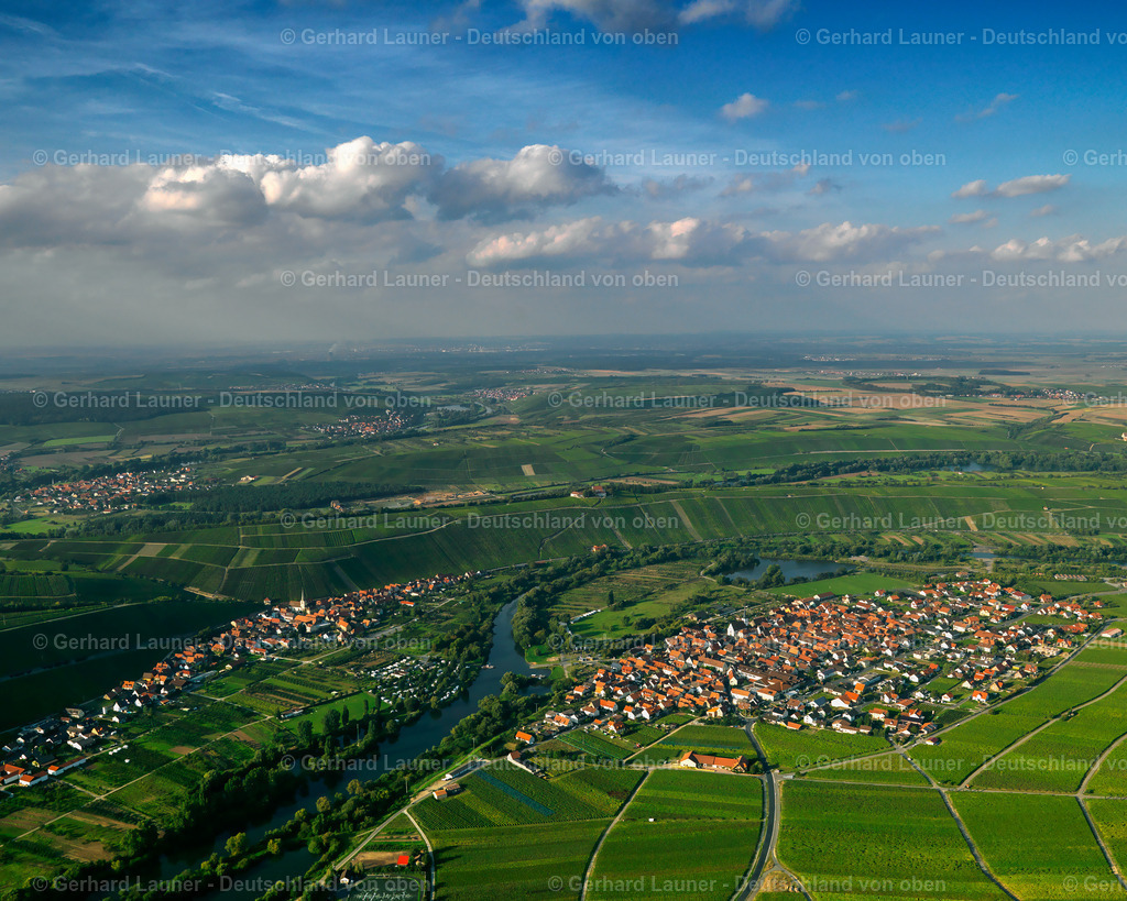 2784519 | Weinlandschaft am Main bei Nordheim und Escherndorf