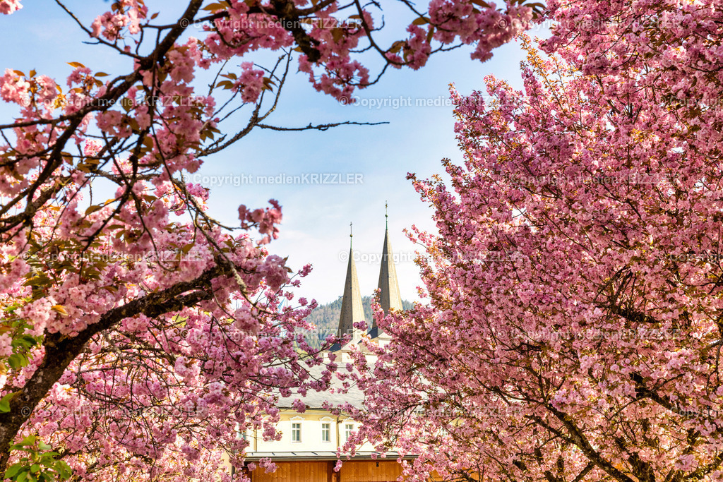 _J3A8877 | medienkrizzler - Realisiert mit Pictrs.com