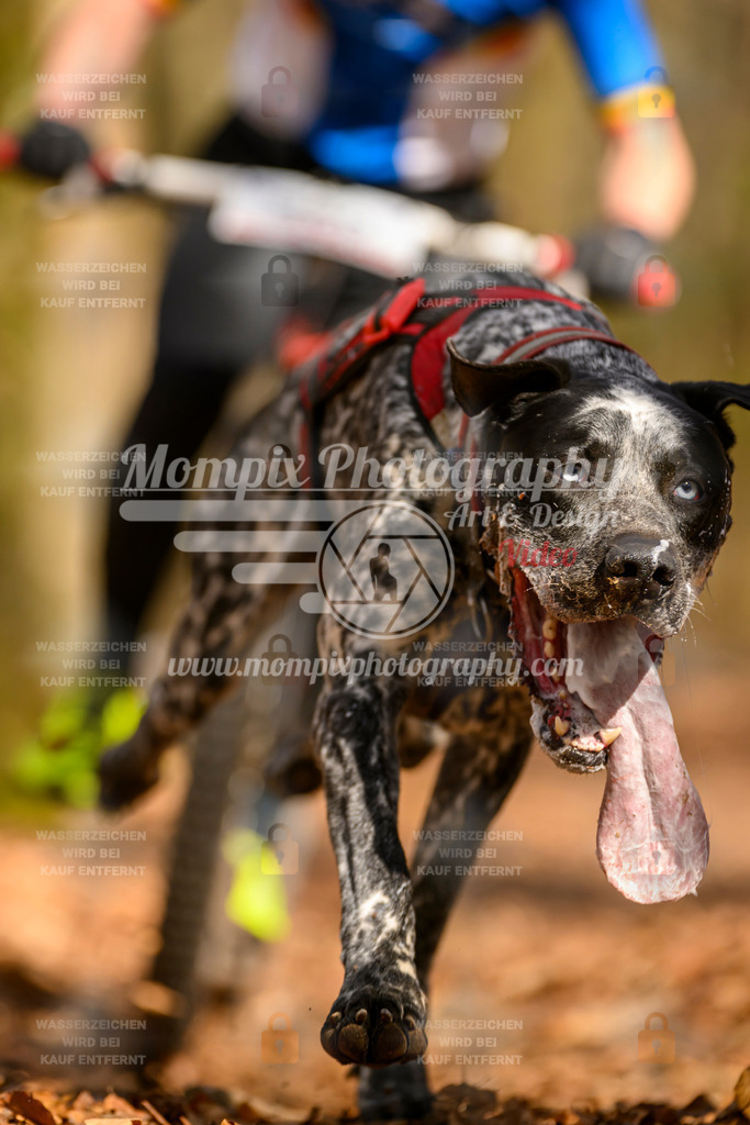 MompixPhotography_Habay2025_SA_SCO-47 | PayLife