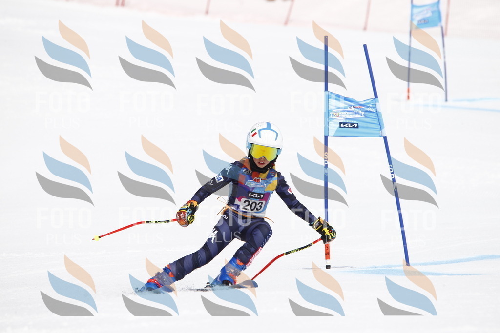 _U3G5272 | holidayphoto