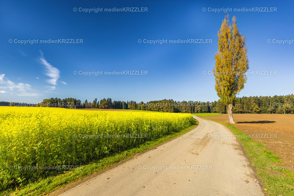 _J3A8947 | medienkrizzler - Realisiert mit Pictrs.com