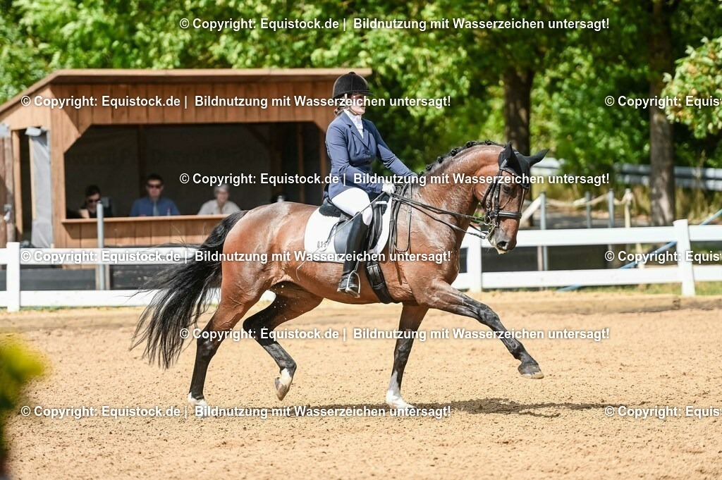 20230716_01_Dressurprüfung Kl.M_0195 | equistock