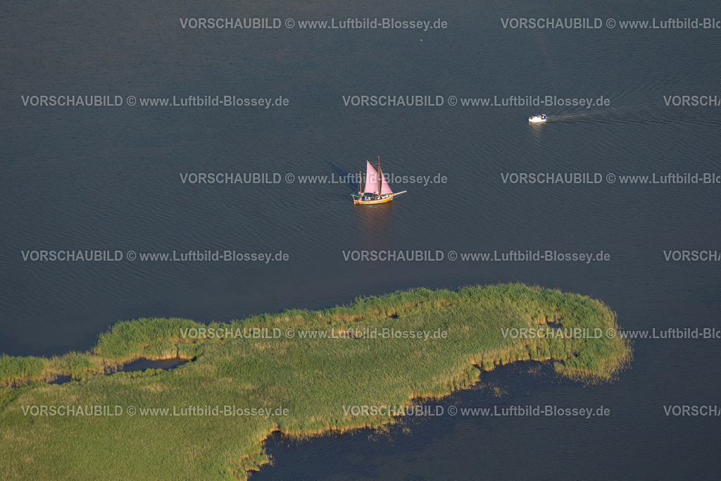Zingst12082560 | Plattbodenschiff, Segelschiff im Barther Bodden, Insel Großer Kirr, Barther Bodden,  Zingst, Ostsee, Mecklenburg-Vorpommern, Deutschland, Europa